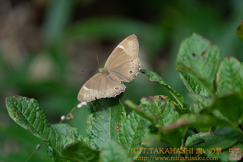 ../Images/7R240817 (320).jpg